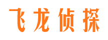 孙吴飞龙私家侦探公司